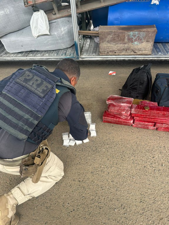 PRF Apreende 24 kg de Drogas em Ônibus de Turismo na BR-116: O que Você Precisa Saber