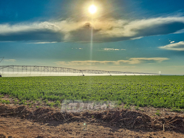 Renda Fixa e Agronegócio: As Principais Apostas de Investimento para 2026 Renda Fixa e Agronegócio: As Principais Apostas de Investimento para 2026