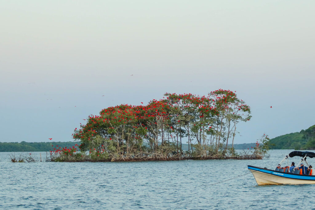 Turismo no Piauí Impulsa 83% de Crescimento em Empregos até 2025 Turismo no Piauí Impulsa 83% de Crescimento em Empregos até 2025
