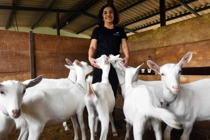 Turismo Rural no DF: Escapadas Verdes para o Lazer em Família Turismo Rural no DF: Escapadas Verdes para o Lazer em Família