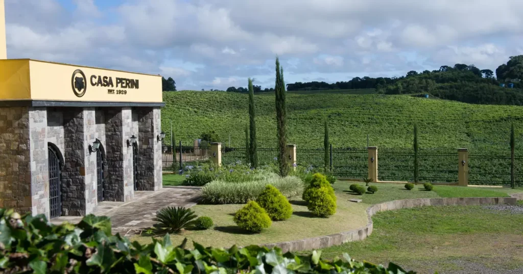 Vivencie a Colheita: Imersão na Saga da Uva na Casa Perini Vivencie a Colheita: Imersão na Saga da Uva na Casa Perini