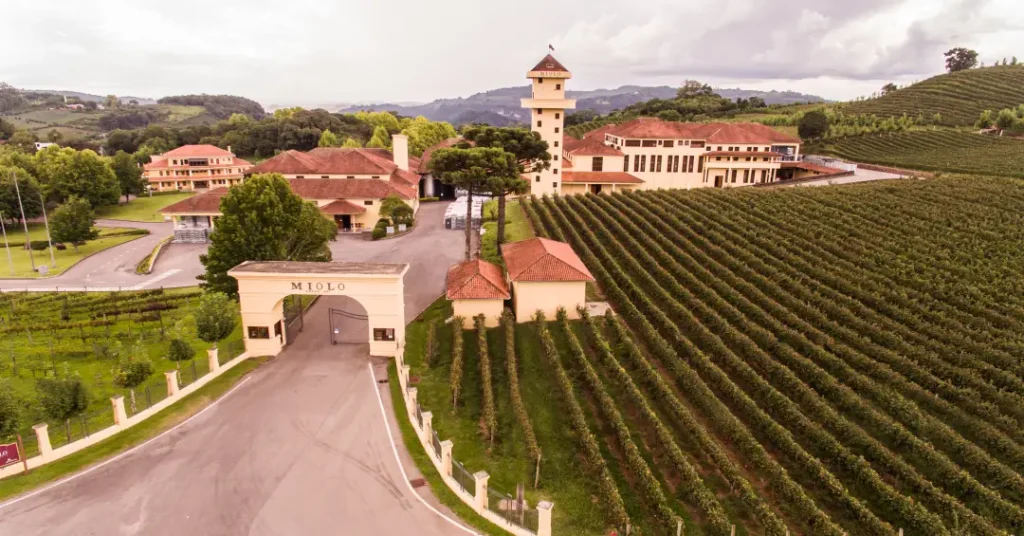 5 Vinícolas Imperdíveis para Conhecer na Serra Gaúcha 5 Vinícolas Imperdíveis para Conhecer na Serra Gaúcha