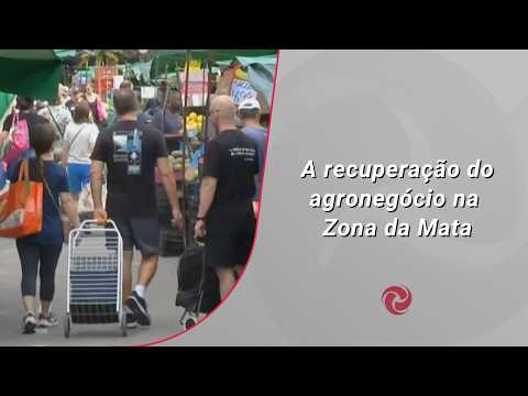 A Recuperação do Agronegócio na Zona da Mata: Um Cenário Promissor para 2024 A Recuperação do Agronegócio na Zona da Mata: Um Cenário Promissor para 2024