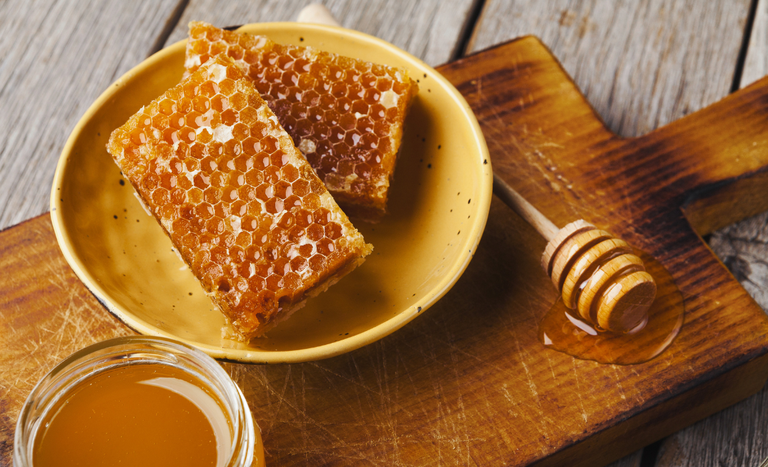 Brasil Expande Horizontes: Novos Mercados para o Agronegócio na Nova Zelândia e Turquia