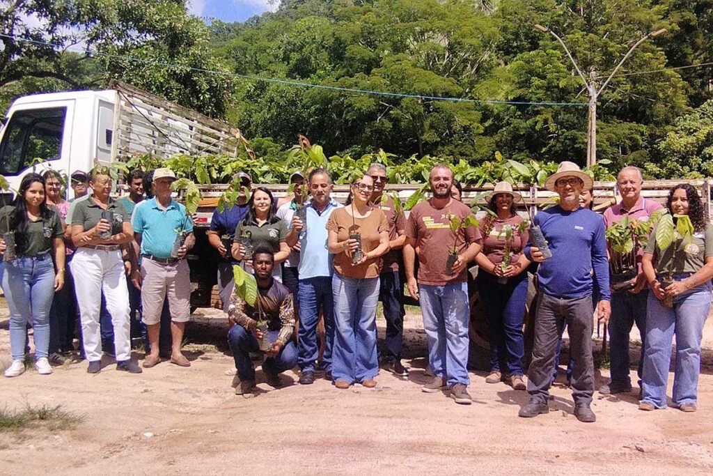 Cacau em Conceição do Castelo: 3 mil Mudas Entregues a Produtores Rurais