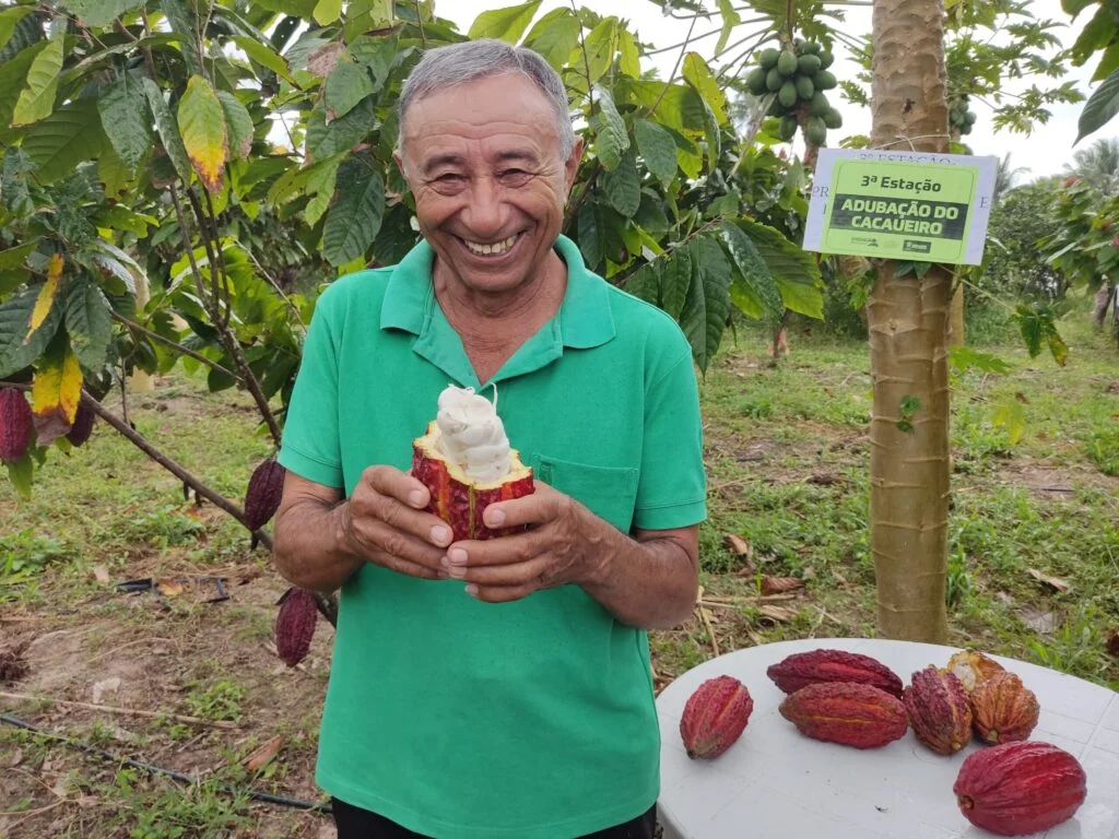 Cacau se destaca como nova fronteira agrícola em Sergipe após crise da laranja Cacau se destaca como nova fronteira agrícola em Sergipe após crise da laranja