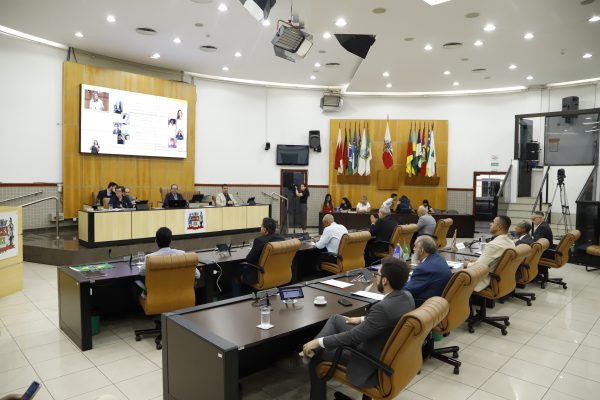 Câmara de Jacareí Aprova Política de Saúde Mental para Gestantes e Puérperas