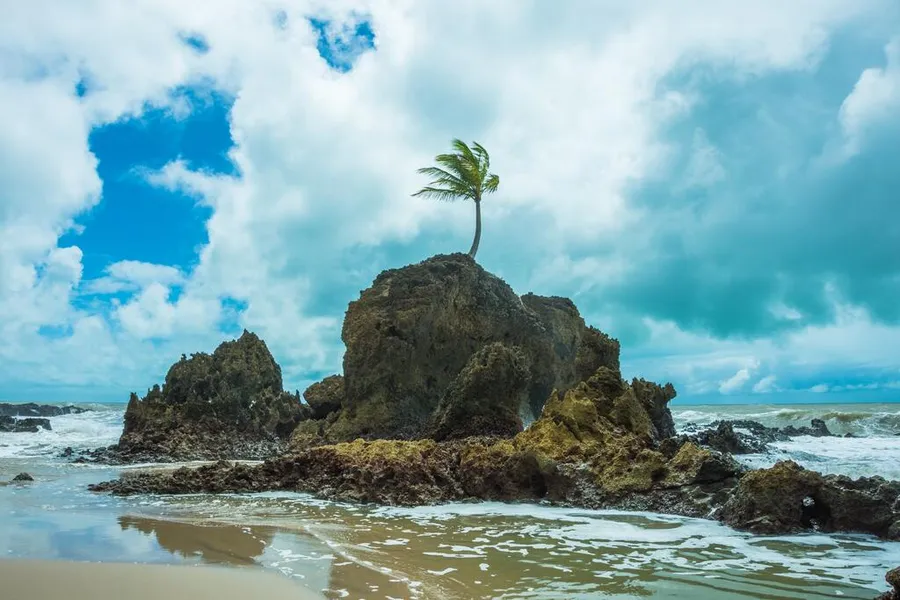 Celebração do Dia do Turismo Ecológico: A Importância da Sustentabilidade na UFPB Celebração do Dia do Turismo Ecológico: A Importância da Sustentabilidade na UFPB