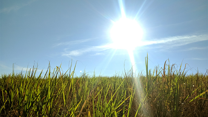 Clima no Agronegócio: Outono Começa com Instabilidades e Reforça Monitoramento Agrometeorológico em