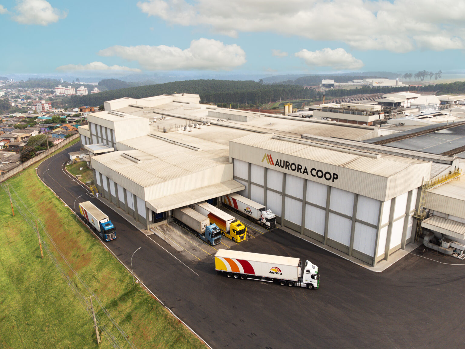 Cooperativismo: A Força do Agronegócio Brasileiro em Números Impressionantes