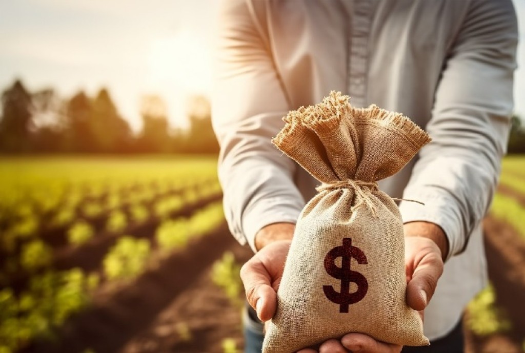 Crédito no Agronegócio: Uma Armadilha Financeira que Desafia a Sustentabilidade Crédito no Agronegócio: Uma Armadilha Financeira que Desafia a Sustentabilidade