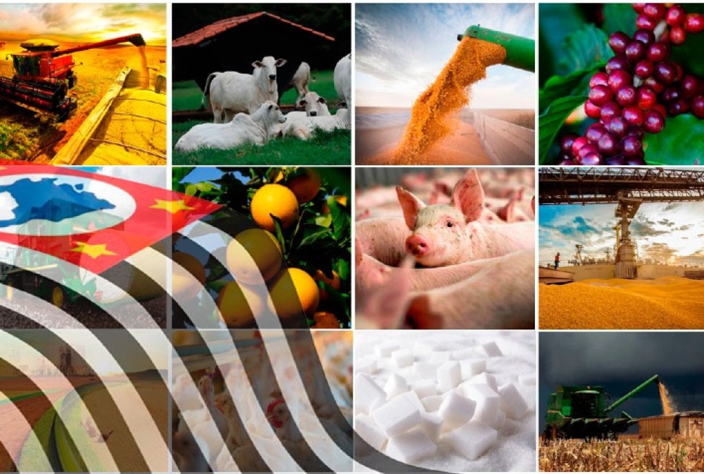 Crise no Oriente Médio: Impactos Diretos no Agronegócio Paulista e Nacional