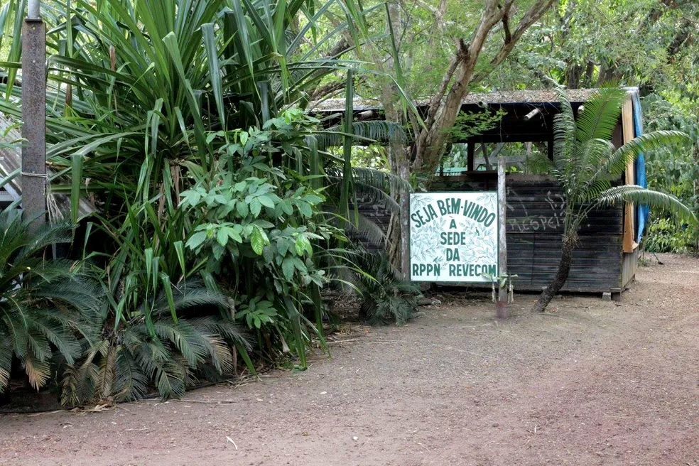Dia Mundial da Vida Selvagem: Valorizar e Proteger o Ambiente é Fundamental