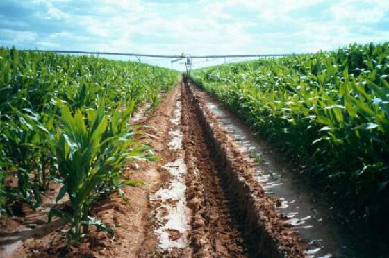 Governo de SP Apresenta Projeto para Fortalecer o Fundo do Agronegócio