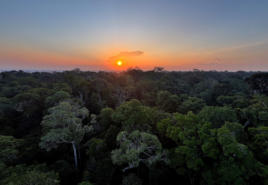 Impactos do Bolsa Verde e Fortalecimento da Agricultura Familiar na Amazônia são Destaques em Seminá