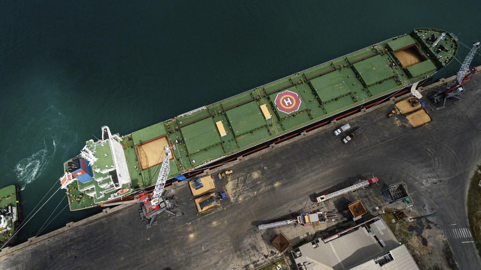 Mudanças nas Regras de Inspeção da Soja: Ministério da Agricultura Responde às Tradings Mudanças nas Regras de Inspeção da Soja: Ministério da Agricultura Responde às Tradings