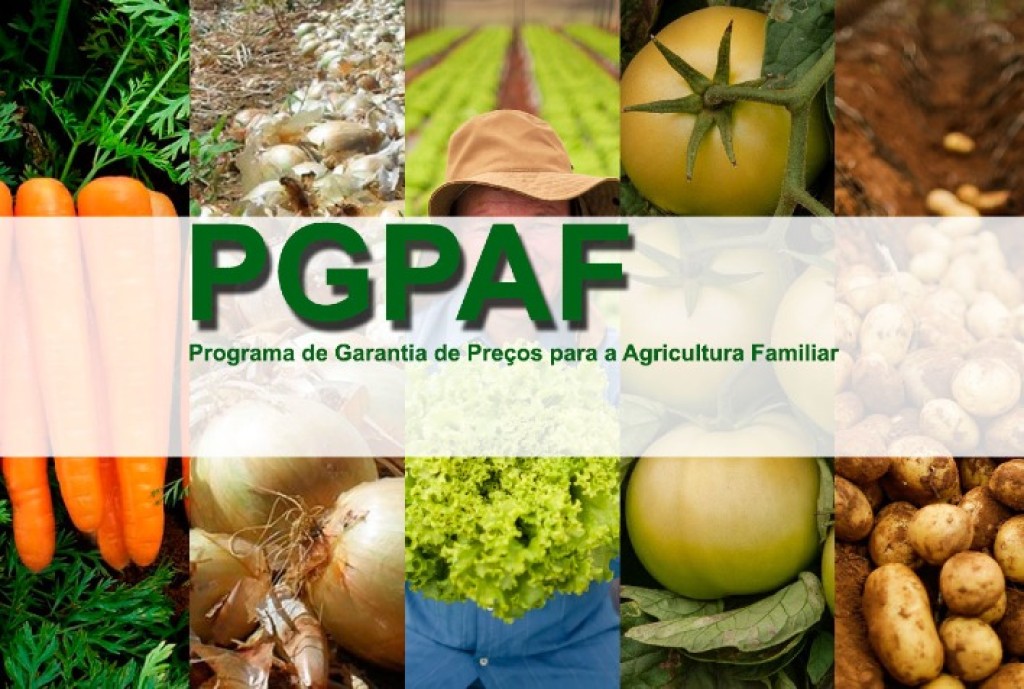 Novos Bônus do PGPAF: Cacau e Tomate São Destaques em Benefícios para Agricultores Familiares