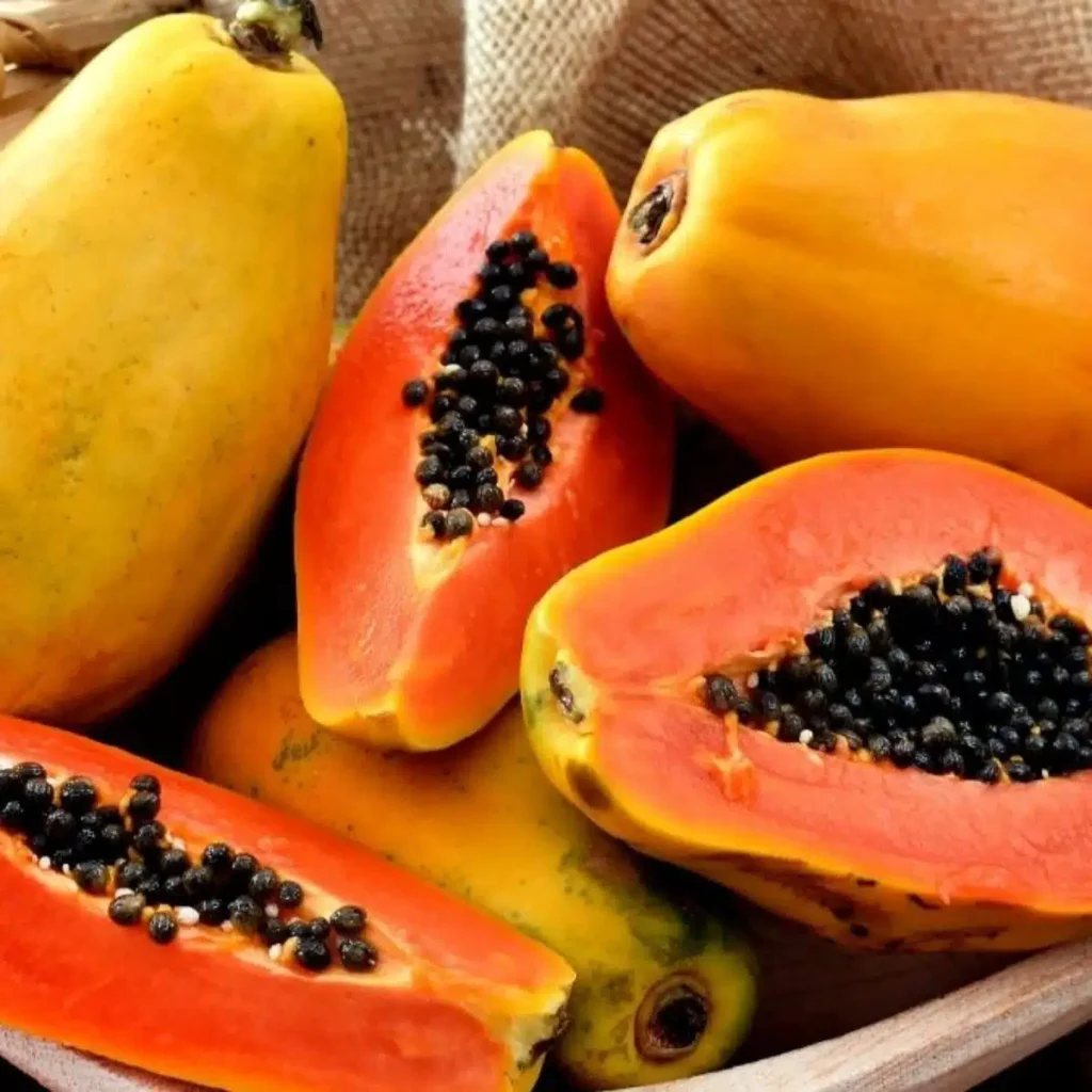 Preço do Mamão Havaí Cai e Atinge Mínima no Espírito Santo – Impacto no Mercado