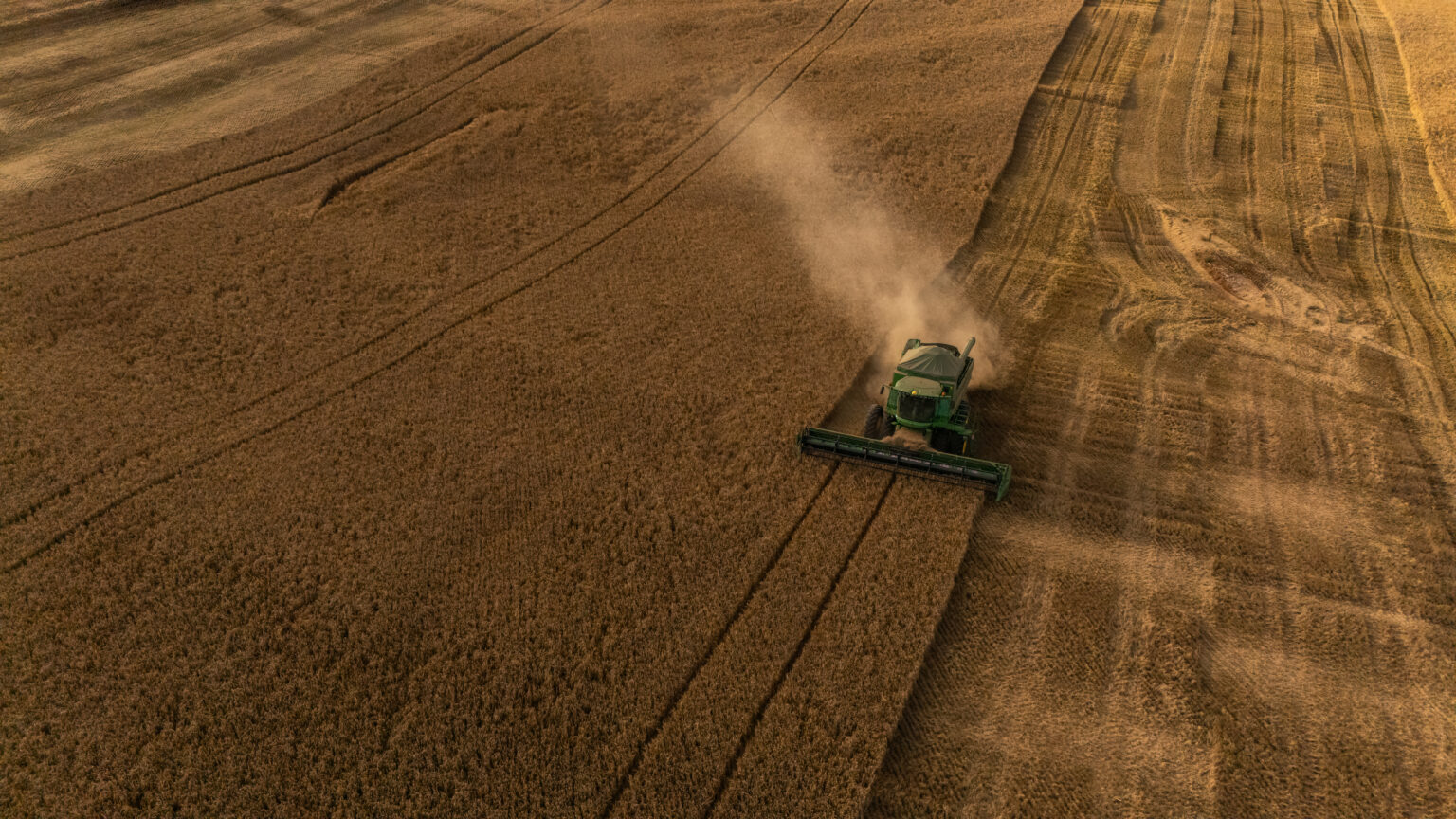 Produção de Cevada no Brasil: Crescimento Promissor e Desafios Emergentes