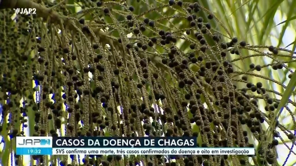 Sintomas e Prevenção da Doença de Chagas: O Que Você Precisa Saber