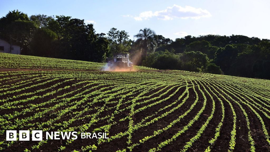 A Guerra no Irã e Seus Impactos no Agronegócio Brasileiro: Um Cenário Alarmante A Guerra no Irã e Seus Impactos no Agronegócio Brasileiro: Um Cenário Alarmante