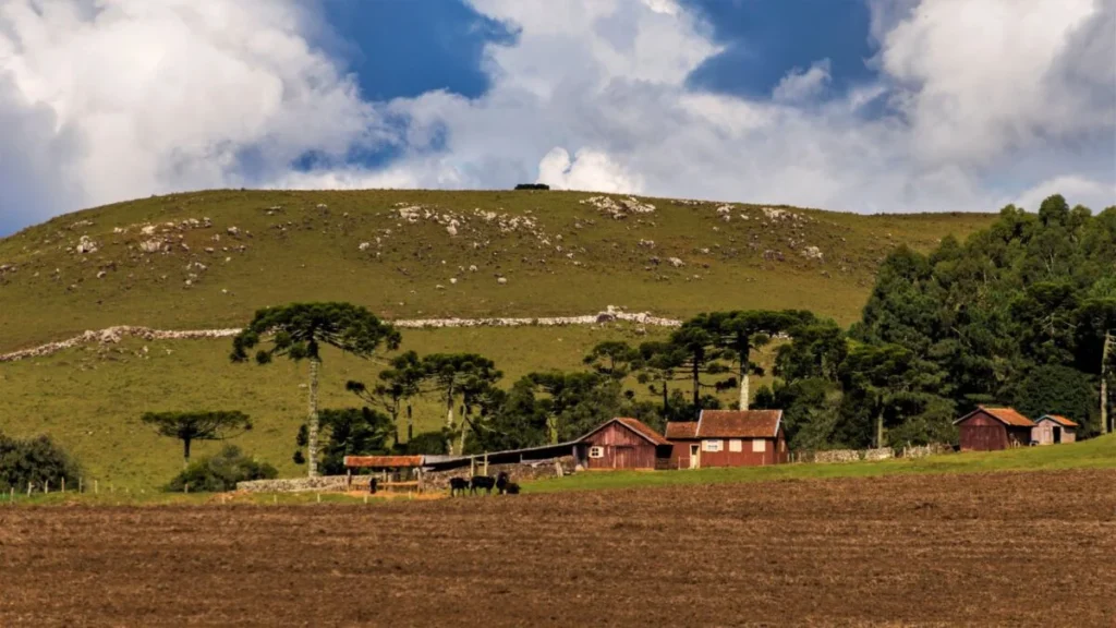 Abuso Patrimonial no Agronegócio: O Crime Silencioso Que Ameaça Famílias e Propriedades
