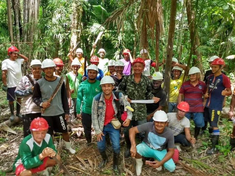Açaí no Amapá: Transformação da Cadeia Produtiva Impulsiona Renda Local