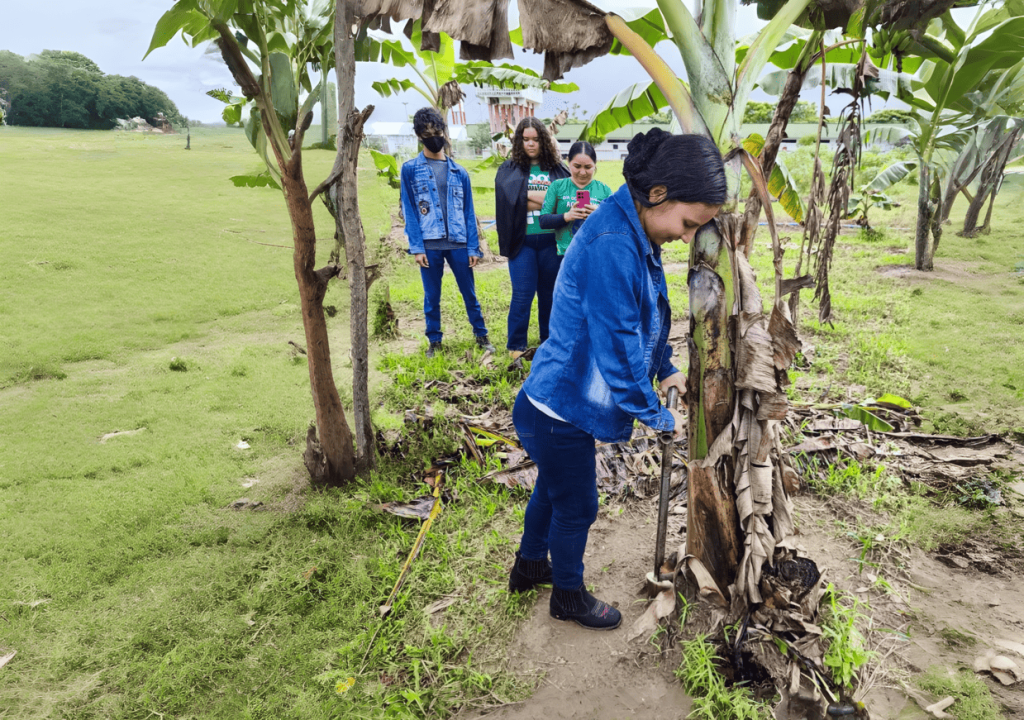 Acelera Amapá: Estudantes de Agronomia se Conectam à Agricultura Familiar