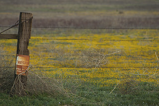 Acordo Inovador Amplia Uso de Dados Técnicos para Recuperação Judicial no Agronegócio