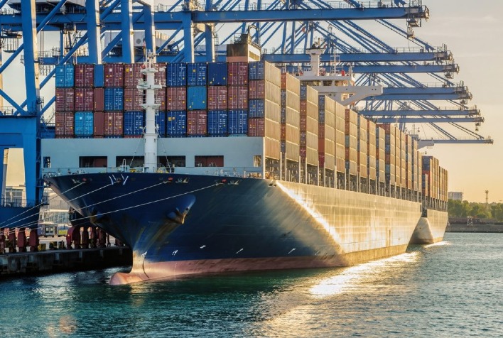 Agro Paulista Supera US$ 900 Milhões em Exportações para a Índia em 2025