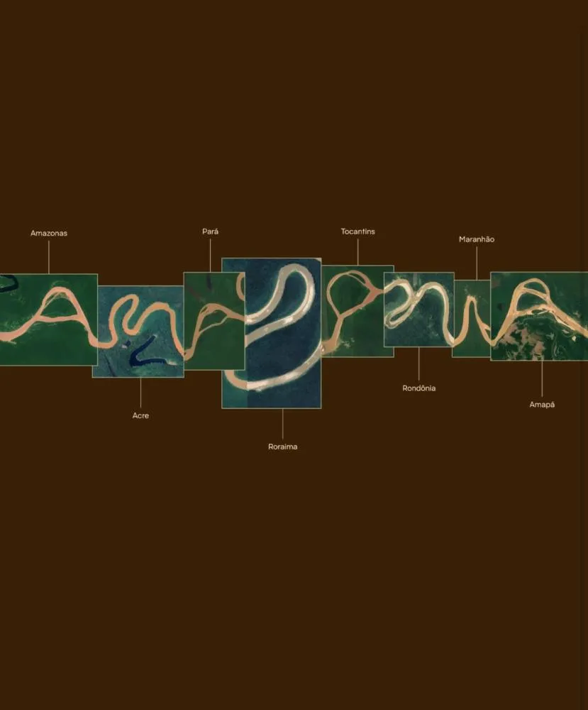 Amazônia Apresenta Sua Primeira Marca Visual Inspirada em Seus Rios