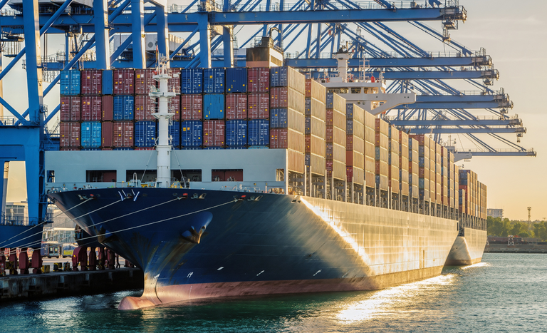 Brasil Aumenta Exportações para a China com DDGS e Farinha de Aves