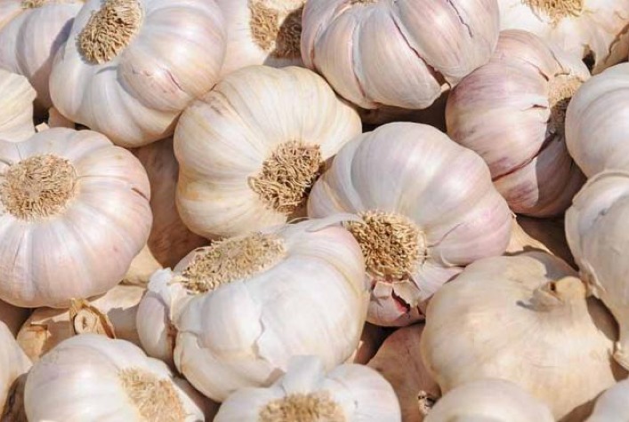 Conab Atualiza Lista do Pronaf: Novos Produtos e Descontos de Até 58% em Abril