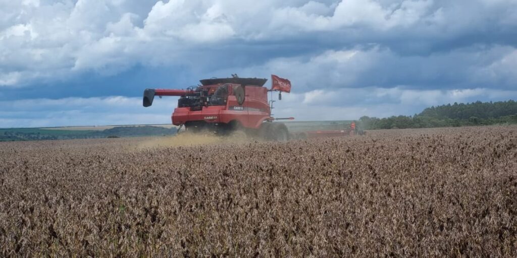 Condições Climáticas Favoráveis Impulsionam o Desenvolvimento da Soja no Brasil