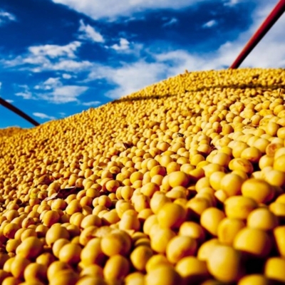 Crescimento do PIB do Agronegócio Brasileiro: 12,20% em 2025