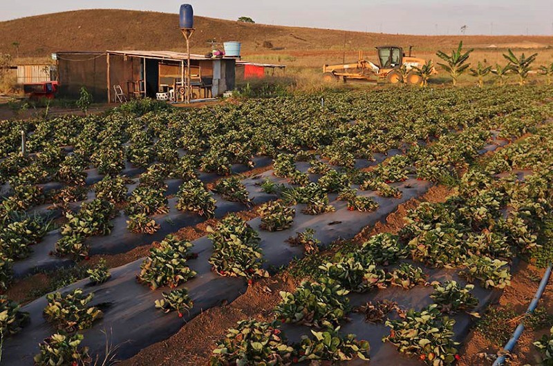 Decisão Judicial Suspende Homenagem a Ex-Prefeito em Assentamento no AP