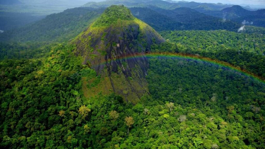 Descubra o Parque Nacional Montanhas do Tumucumaque: A Jóia Ecológica do Brasil Descubra o Parque Nacional Montanhas do Tumucumaque: A Jóia Ecológica do Brasil