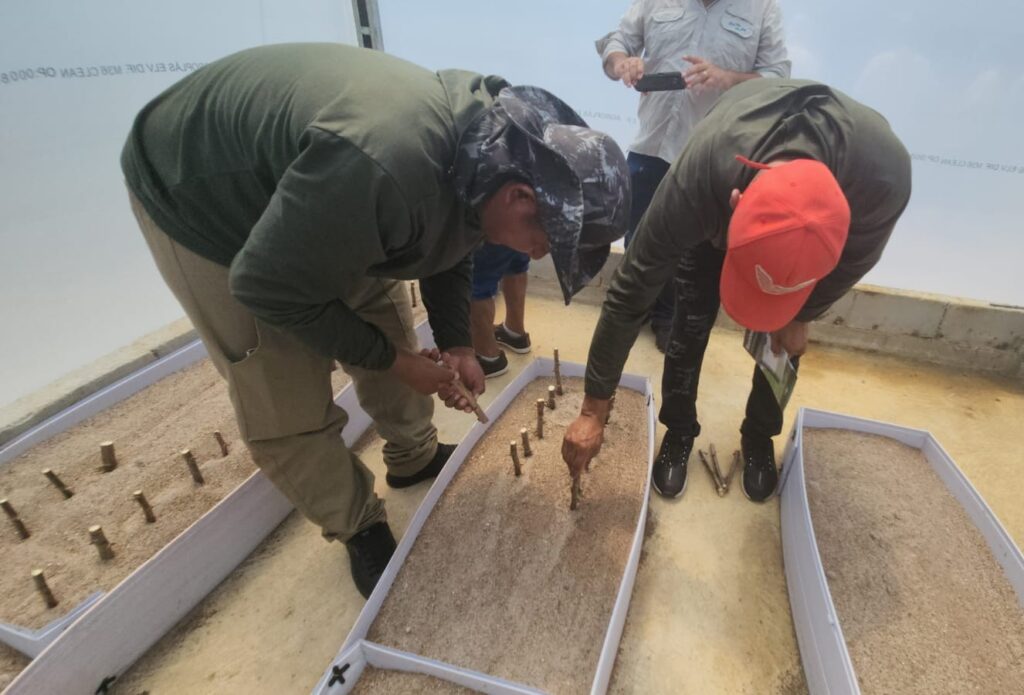 Embrapa e Indígenas: Aliança Contra a Vassoura-de-Bruxa da Mandioca no Amapá