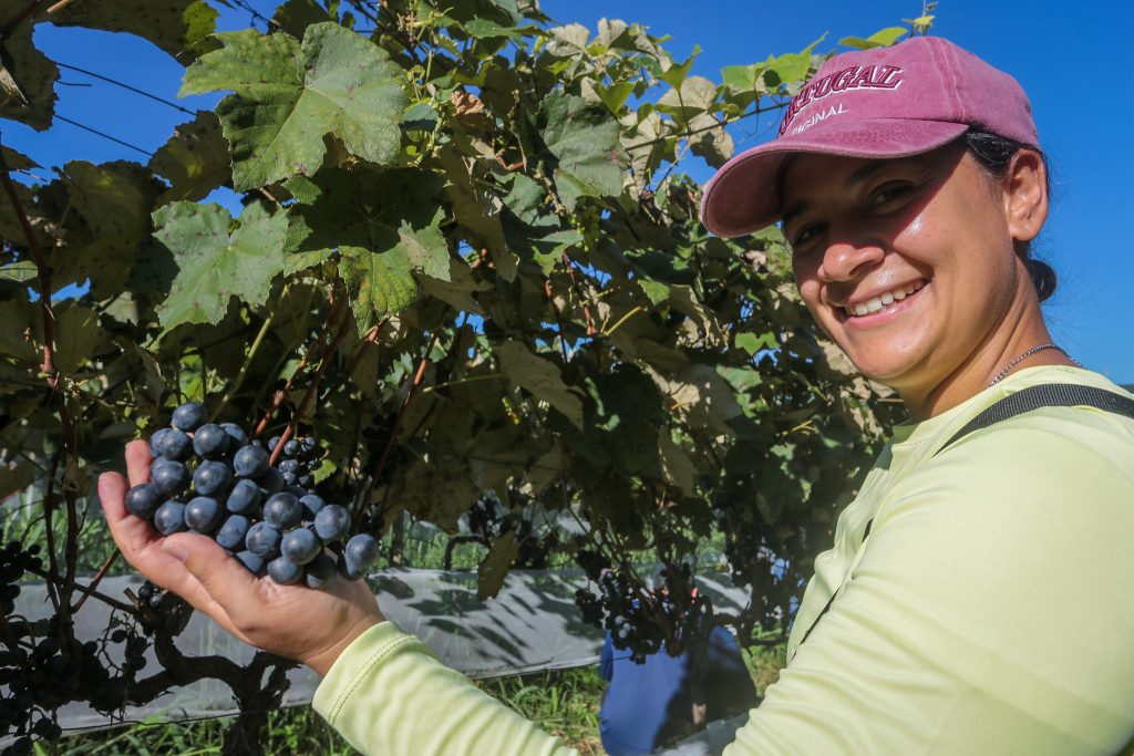 Governo de SP Lança Câmara Temática das Mulheres no Agronegócio Durante a Agrishow