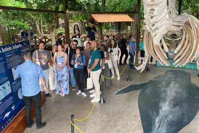 Governo do Amapá Abre Edital para Credenciamento de Profissionais do Turismo em 2026