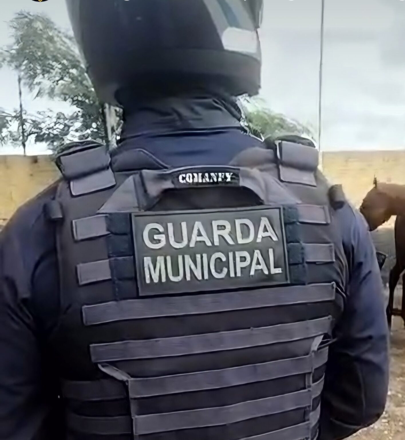 Guarda Municipal Salva Mulher em Situação Crítica e Agressor Tenta Fuga do 3º Andar