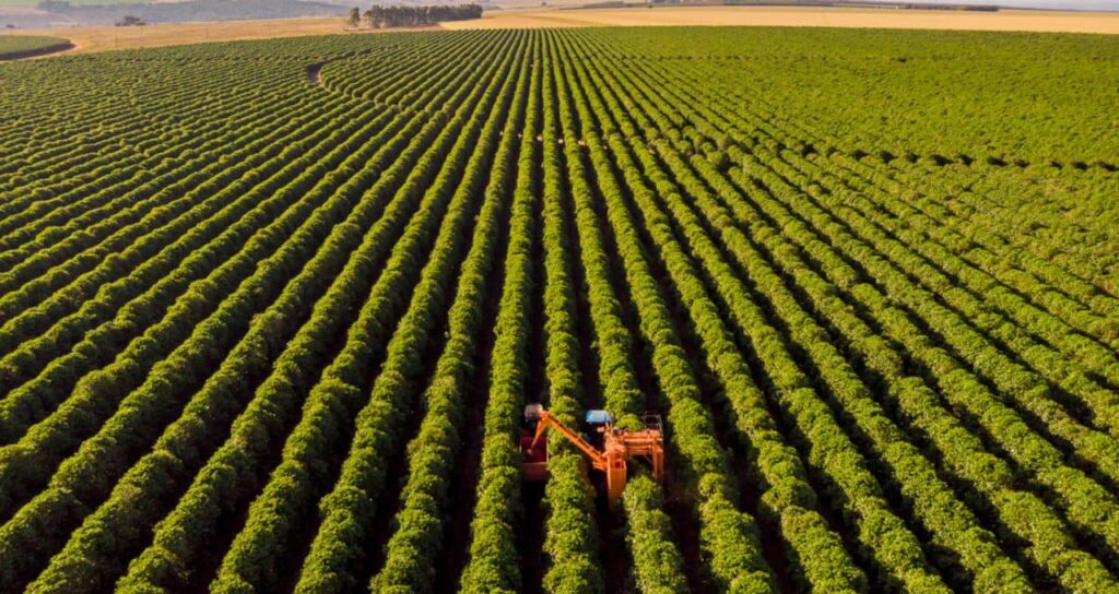 Inadimplência no Agronegócio: Expectativas de Aumento e Possíveis Melhoras em 2026