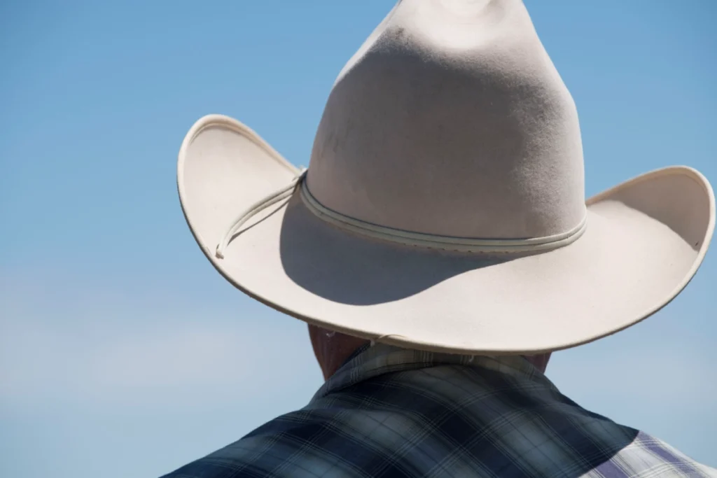 Interesses do Agronegócio e Energia Tentam Impedir Criação do Maior Parque Marinho do Brasil Interesses do Agronegócio e Energia Tentam Impedir Criação do Maior Parque Marinho do Brasil