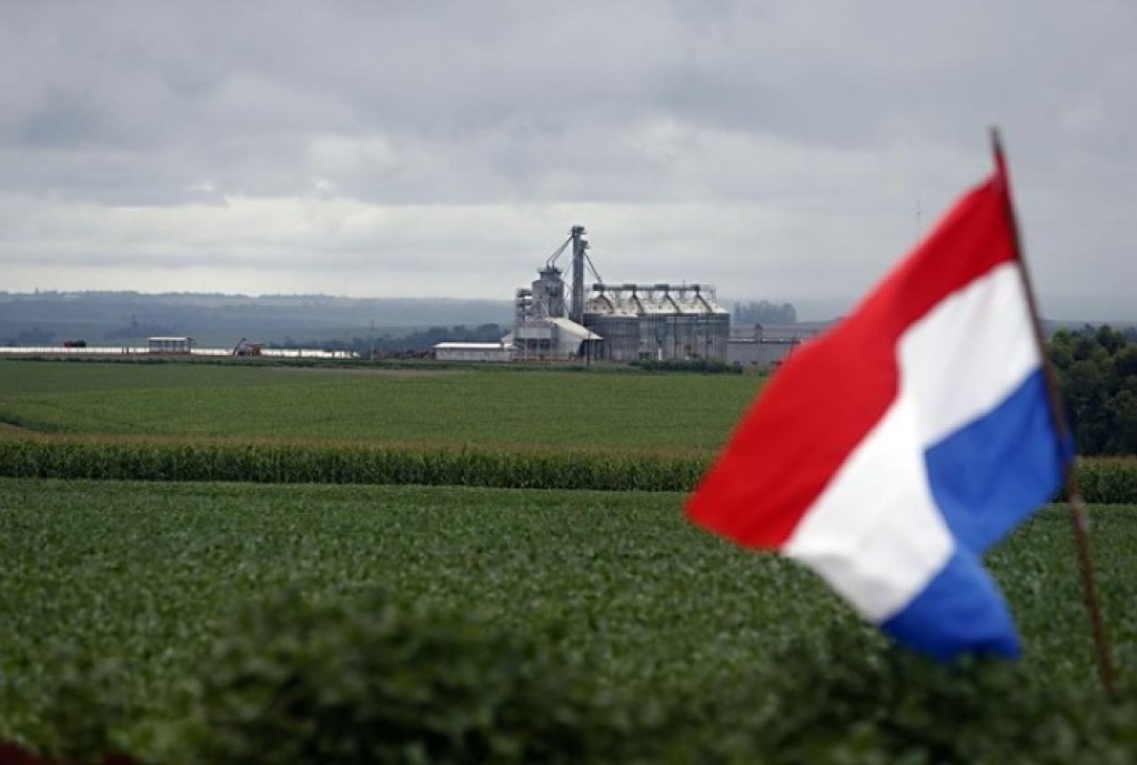 Paraguai Pode Superar 12 Milhões de Toneladas de Soja em 2026 com Safra Histórica