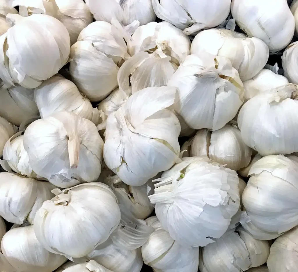 Produção de Alho no Brasil Enfrenta Queda com Aumento das Importações