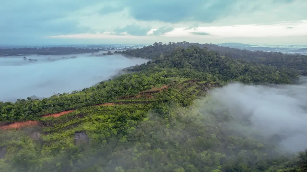 Reativação da Economia: Governador do Amapá Celebra o Retorno da Mineração