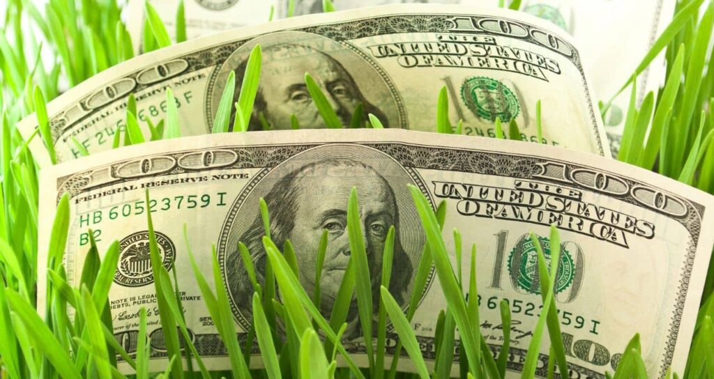 Recuperações Judiciais no Agronegócio: Desafios e Arrependimentos Crescentes