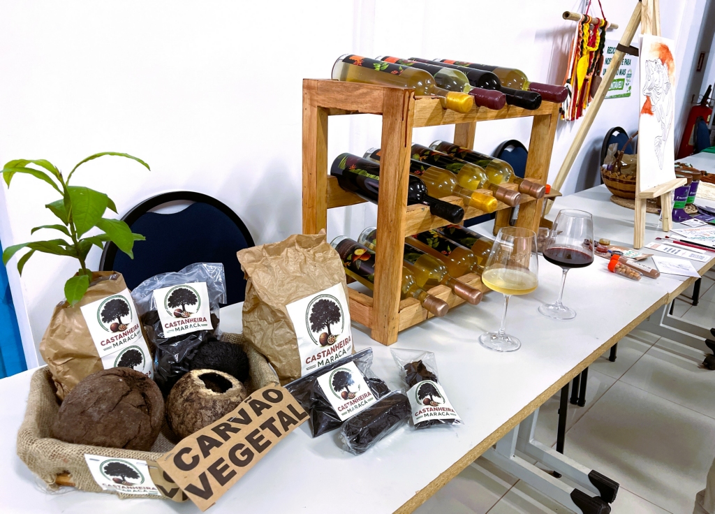 Santana se Destaca na Bioeconomia com Iniciativa do Sebrae no Amapá