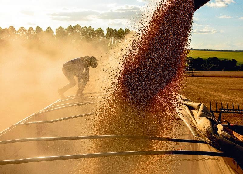 Sustentabilidade como Motor do Agronegócio Brasileiro