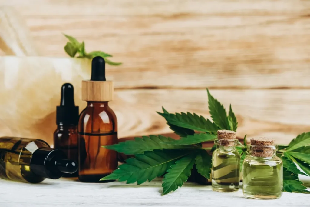 Anvisa Libera Exportação de Cannabis Medicinal: Entenda as Novas Normas